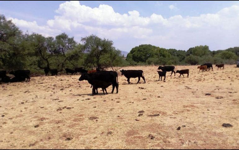 Una de las propiedades del ex gobernador. NOTIMEX