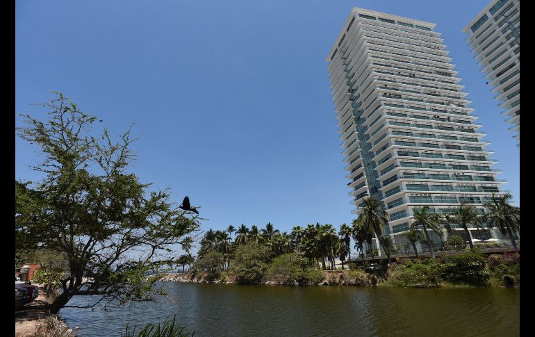 El académico de la Universidad de Guadalajara y uno de los descubridores, Fabio Germán Cupul Magaña, dijo que la especie está en riesgo de extinción, pues han encontrado ejemplares en ambientes modificados y, de los nueve ejemplares colectados, sólo dos son hembras.