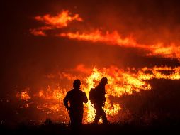 El fuego dañó más de tres mil hectáreas afectadas. EL INFORMADOR/Archivo