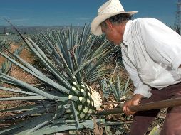 Para atraer visitantes nacionales se apostaría por una estrategia de turismo de negocios, espectáculos y arte, aprovechando la infraestructura en la Zona Metropolitana de Guadalajara. EL INFORMADOR/ ARCHIVO