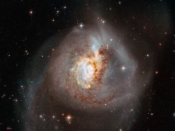 Las dunas están esparcidas a lo largo de una suerte de cinturón de unos 75 kilómetros de ancho y fueron registradas con la nave New Horizons de la NASA en 2015. AFP/ ESPECIAL