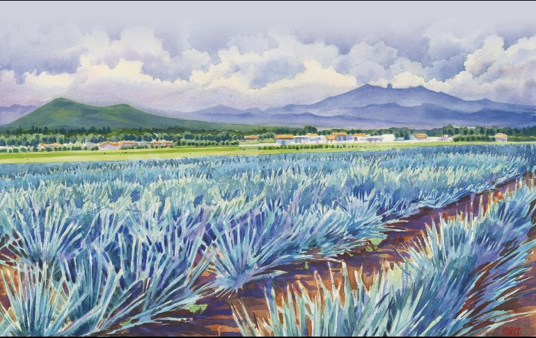 En los últimos años se ha explorado su uso incluso en el área de energéticos. ESPECIAL / J. Monroy