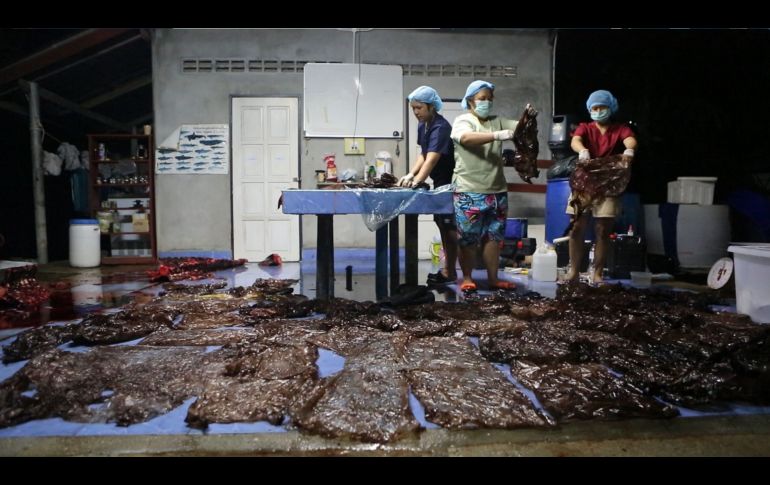 Aspecto de las bolsas removidas del interior del animal. AFP/THAIWHALES