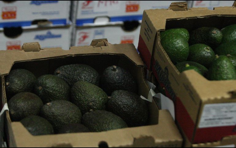 Los aguacates ya se incluyen en la dieta de las familias canadienses. EL INFORMADOR/Archivo
