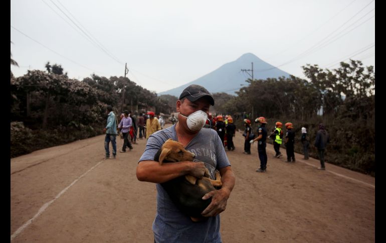 Un hombre rescata un cachorro.