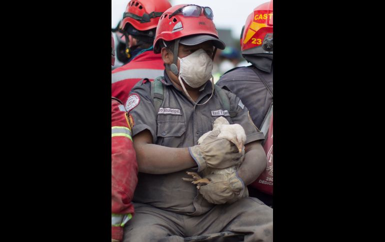 Un bombero sostiene un pollo rescatado en Escuintla.