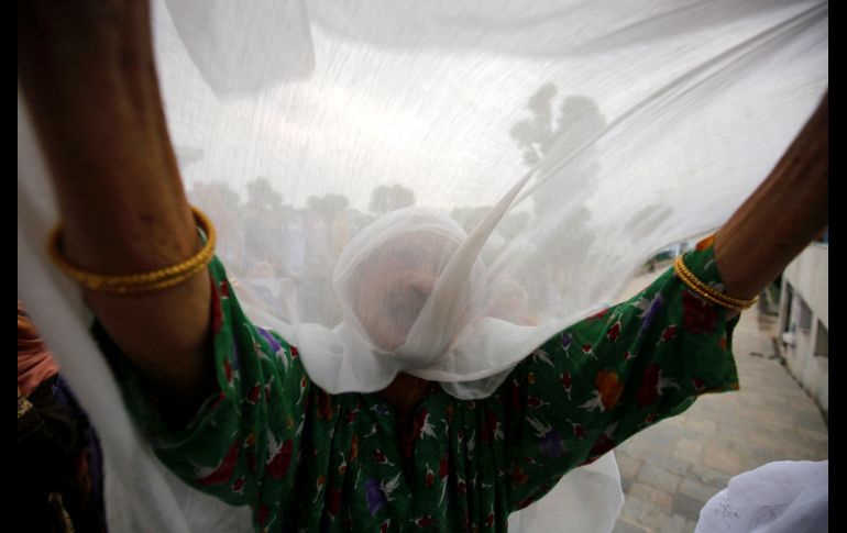 Una musulmana cachemira reza mientras observa una reliquia, un pelo de la barba del profeta Mahoma, durante las oraciones por el aniversario de la muerte de Hazrat Ali, descendiente de Mahoma, en la mezquita Hazratbal, en Srinagar, India. EFE/ Farooq Khan