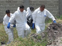 Forenses laboran en la zona de la fosa, ubicada en una colonia cercana al Aeropuerto Internacional de Guadalajara.