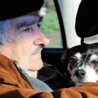 Fallece Manuela, la inseparable mascota del expresidente José Mújica