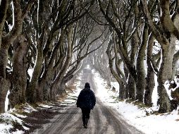 Martin ha anticipado a los fanáticos que no deben esperar ver a ningún miembro del elenco actual de la serie en esos 
