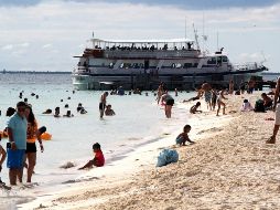En las cercanías del predio visitado existe urbanización, lo que ha ocasionado la fragmentación de la vegetación del sitio. NTX/ARCHIVO