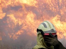Hasta el momento, Jalisco se encuentra en quinto lugar por número de incendios en el contexto nacional. EFE / ARCHIVO