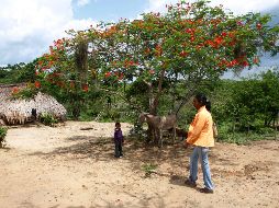 Los dos sismos tuvieron una profundidad superficial, menor de los 30 kilómetros. AP / ARCHIVO