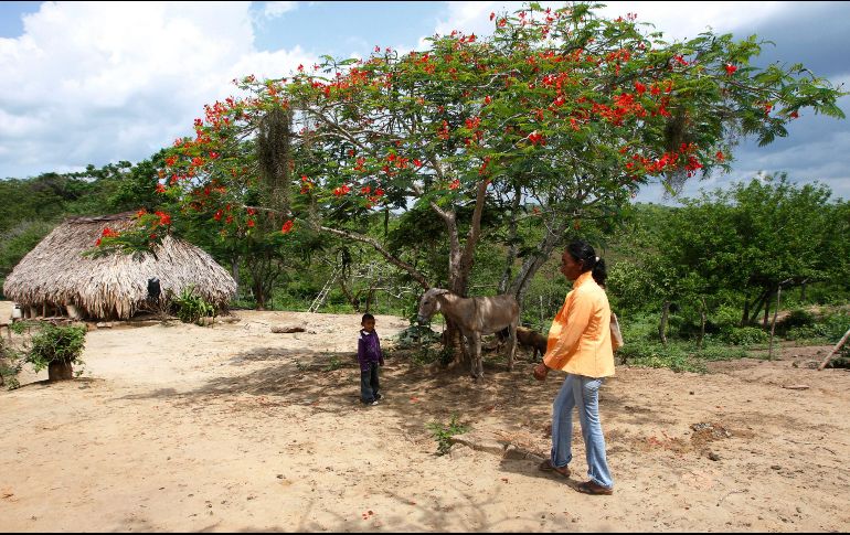 Los dos sismos tuvieron una profundidad superficial, menor de los 30 kilómetros. AP / ARCHIVO