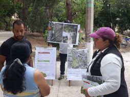 El alcalde señaló que es falso que se hayan talado o se vayan a talar árboles en el Bosque Urbano Arboledas del Sur. TWITTER / @EnriqueIbarraP