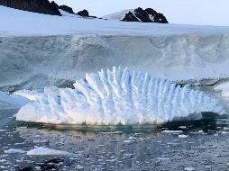 Los científicos de la NASA informan que un 40 por ciento de este desprendimiento ocurrió en los últimos cinco años. EFE / I. Joughin