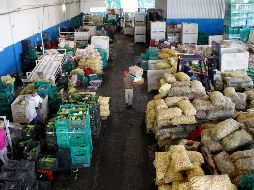 El Banco Diocesano de Alimentos atiende entre 105 mil y 110 mil personas de manera mensual. EL INFORMADOR/ARCHIVO