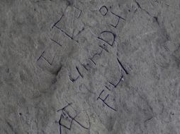 El singular ejemplar fue encontrado el pasado verano en una excavación arqueológica de la zona. ESPECIAL / English Heritage