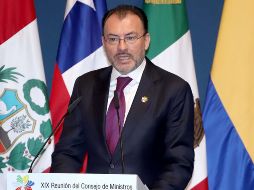 Videgaray, canciller mexicano, afirmó que 
