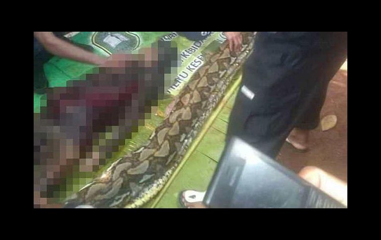 Fotografías tomadas por medios locales muestran a los pobladores al momento de abrir al animal. ESPECIAL