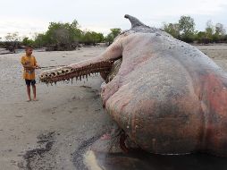 El mundo en imágenes del 18 de junio de 2018