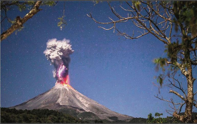 En el concurso participaron fotos de 135 países. ESPECIAL