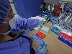  La nueva técnica se basa en una enzima sintetizadora de ADN que se encuentra en las células del sistema inmune, la cual tiene la capacidad natural de agregar nucleótidos a una molécula de ADN existente en el agua. SUN/ ARCHIVO