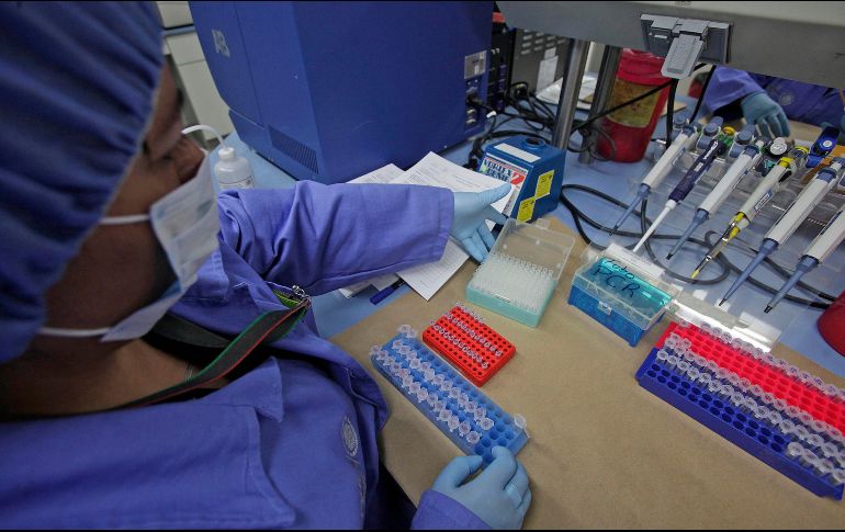  La nueva técnica se basa en una enzima sintetizadora de ADN que se encuentra en las células del sistema inmune, la cual tiene la capacidad natural de agregar nucleótidos a una molécula de ADN existente en el agua. SUN/ ARCHIVO