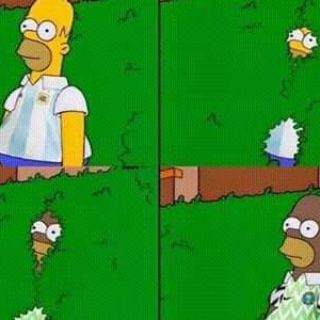 Los memes de la victoria de Nigeria...que celebró Argentina