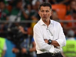 ''Fue duro mentalmente llegar con seis puntos y no estar clasificados. Hoy mi pecado fue ser demasiado purista'', reconoció el entrenador después de la derrota. AFP / A. Poujoulat