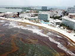 La llegada del sargazo a playas de Cancún  este jueves. EFE/A. Cupul