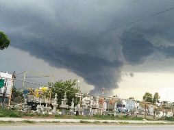 Un tornado arrancó de raíz docenas de árboles. ESPECIAL