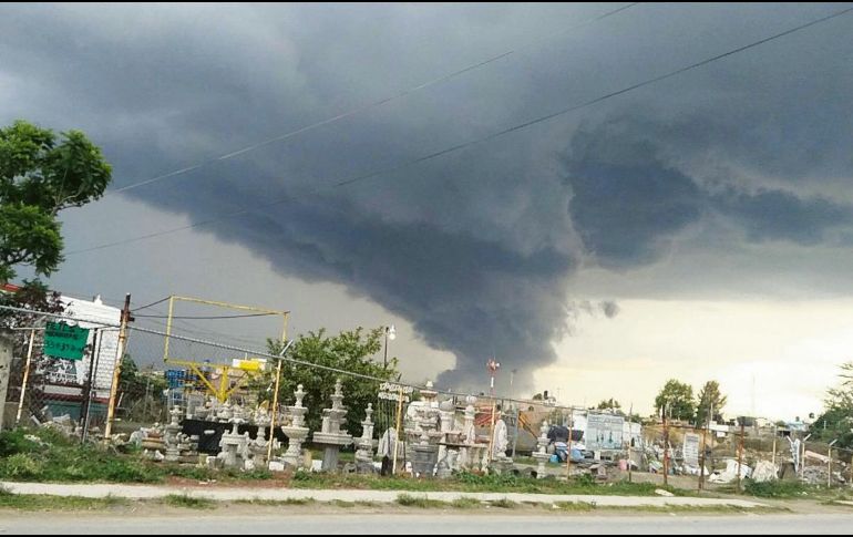 Un tornado arrancó de raíz docenas de árboles. ESPECIAL