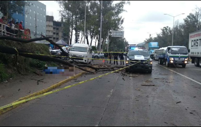 Se llama al Servicio Médico Forense para que acudiera a levantar el cuerpo de este hombre, cuya edad se estimó entre los 35 y 40 años de edad. ESPECIAL