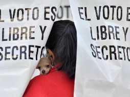 Las casillas cuentan con mamparas donde los ciudadanos marcan sus boletas. AFP/ARCHIVO