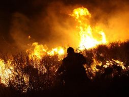 Jalisco, junto a los estados de Chihuahua, Sonora, Durango, Guerrero, Oaxaca, Nayarit, Michoacán, Coahuila y Zacatecas fueron las entidades con la mayor cantidad de superficie afectada. NTX / ARCHIVO