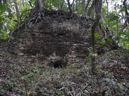 Sergio Grosjean Abimerhi, manifestó que este tipo de hallazgos son poco comunes en Yucatán. NTX/ ARCHIVO