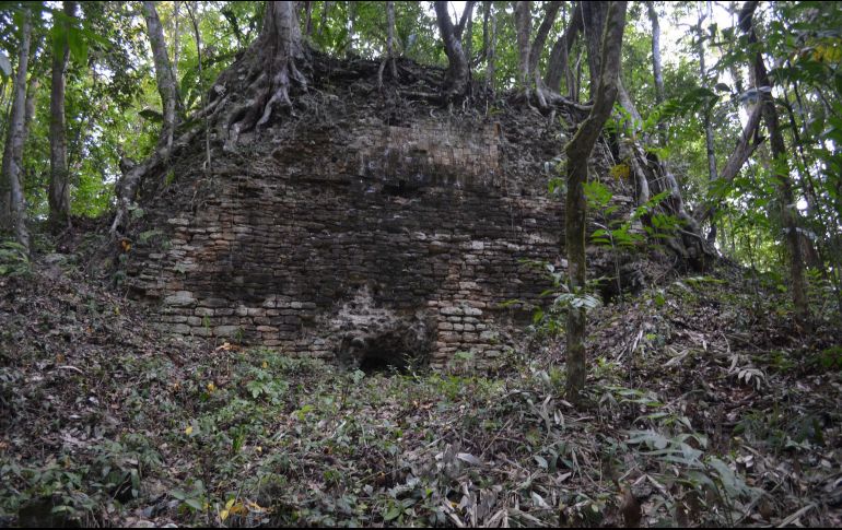 Sergio Grosjean Abimerhi, manifestó que este tipo de hallazgos son poco comunes en Yucatán. NTX/ ARCHIVO