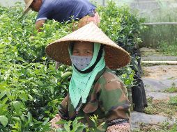El gobierno impulsa comunidades rurales para mejorar sus condiciones de vida. EFE/A. Olcese