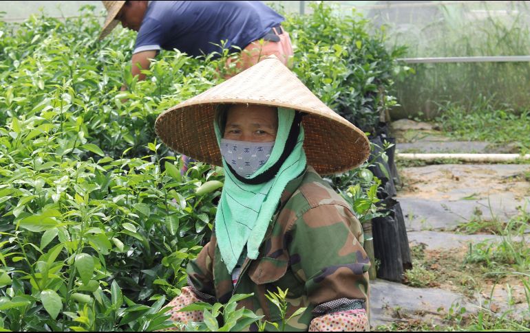 El gobierno impulsa comunidades rurales para mejorar sus condiciones de vida. EFE/A. Olcese