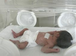 Al menos 17 bebés del hospital murieron por causas sospechosas. NTX