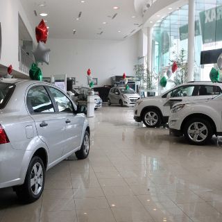 La AMDA pedirá quitar tenencia