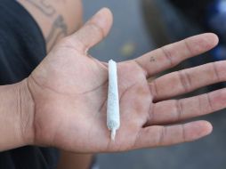 Los quejosos podrán adquirir semillas de mariguana de sujetos previamente autorizados para ello. EL INFORMADOR / ARCHIVO