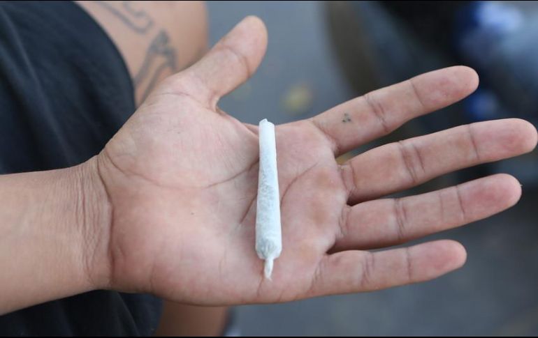 Los quejosos podrán adquirir semillas de mariguana de sujetos previamente autorizados para ello. EL INFORMADOR / ARCHIVO