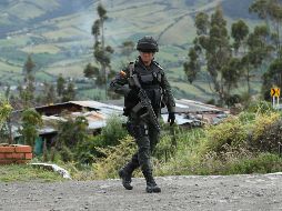 Colombia, principal productor de cocaína del mundo y con más narcocultivos, busca superar el último conflicto armado del continente. EFE / M. Dueñas