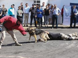 El escuadrón tiene 23 canes de dos a 11 años. ESPECIAL