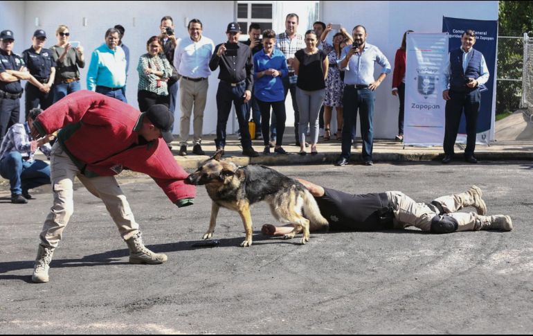 El escuadrón tiene 23 canes de dos a 11 años. ESPECIAL