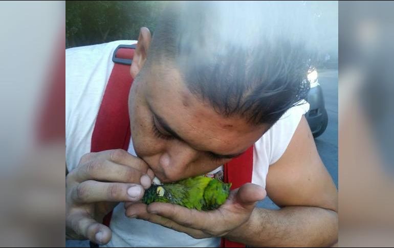 Usuarios de redes sociales reconocieron el trabajo del bombero. Facebook / Protección Civil y Bomberos de Guadalajara