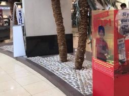 Uno de los contenedores de Nariz Roja está en el centro comercial ubicado en avenida Vallarta y San Ignacio. ESPECIAL