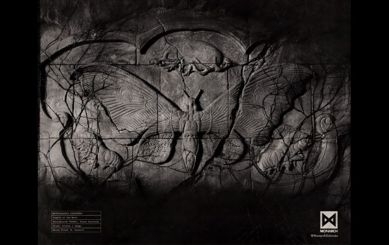 Llegan las primeras imágenes de 'Godzilla: King of the Monsters'